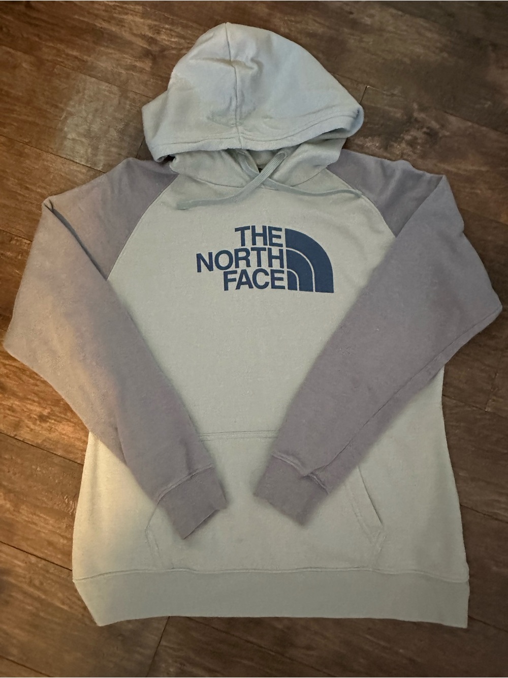 The North Face Two-Tone Light Blue Hoodie